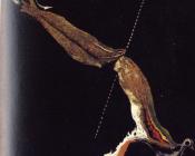 萨尔瓦多 达利 : 战争,鱼